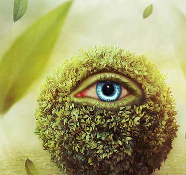 【升级更新教程】图文详解的ddos攻击工具