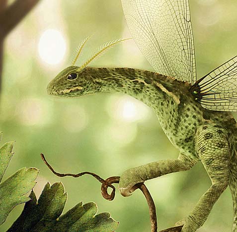 网站攻击工具手机版