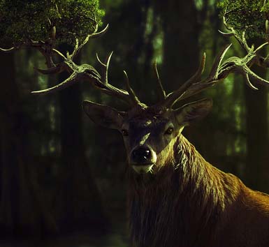 ddos攻击器安卓ios下载